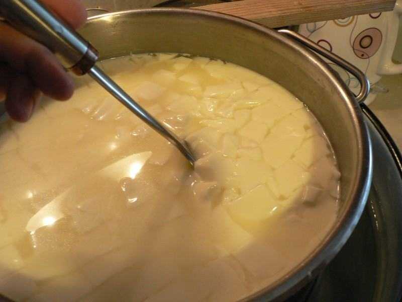 Салат с козьим сыром: описание рецепта, ингредиенты, правила приготовления, фото