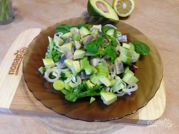 Салат из сельди с авокадо - 39 рецептов: салаты | foodini