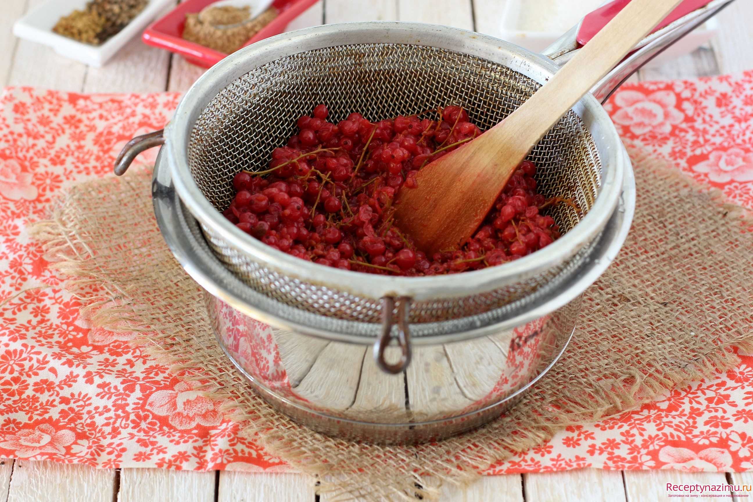 Рецепты соуса из красной смородины на зиму