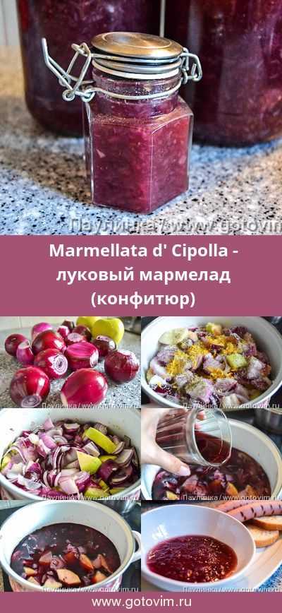 Заготовки из ревеня на зиму: рецепты пошагового приготовления, условия хранения