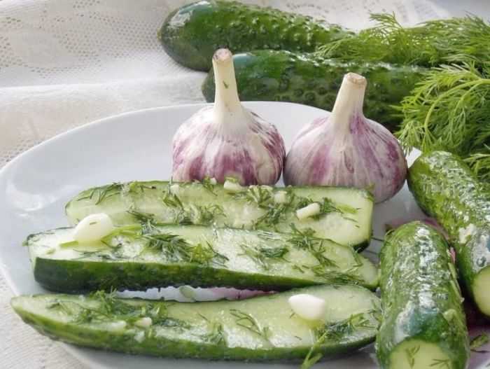 Малосольные огурцы с чесноком и зеленью быстрого приготовления: рецепт с фото – рецепты с фото