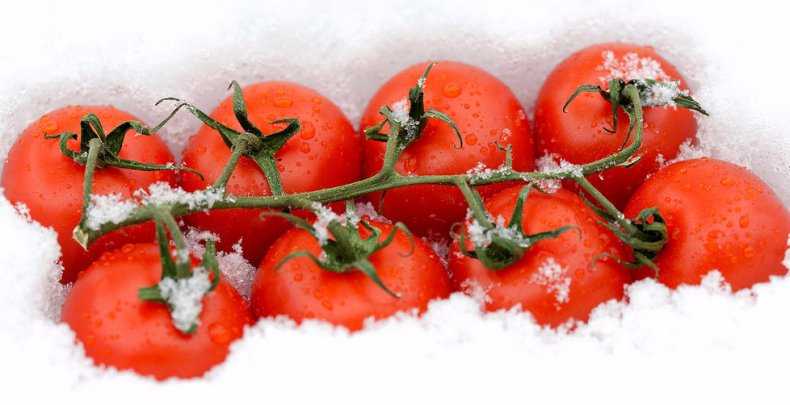 6 интересных идей, как заморозить помидоры на зиму