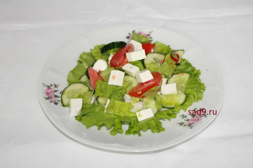 Греческий салат — классические рецепты приготовления в домашних условиях