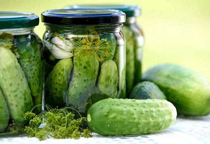 Малосольные огурцы — 7 рецептов быстрого приготовления с чесноком и зеленью