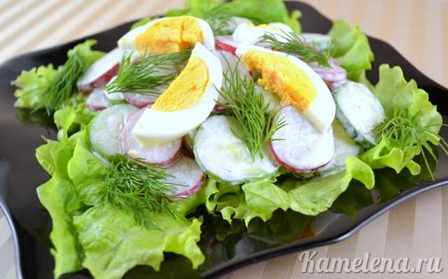 Салат с редисом и яйцами - 11 лучших рецептов с отменным вкусом