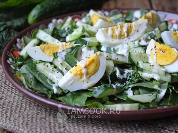 Салат с щавелем и яйцом - 7 пошаговых фото в рецепте
