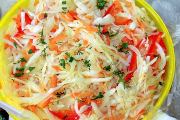 Салат с перцем болгарским на зиму - популярное и оригинальное блюдо + полезные советы в приготовлении: рецепт с фото и видео