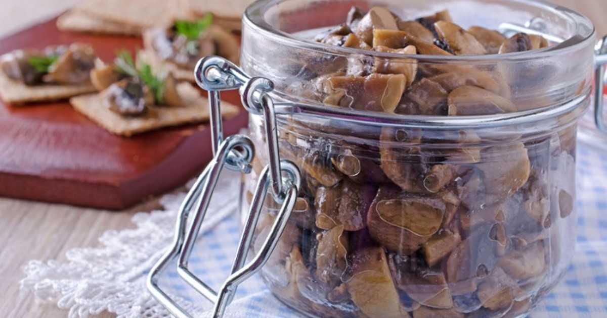 Как вкусно приготовить жареные опята - грибы собираем