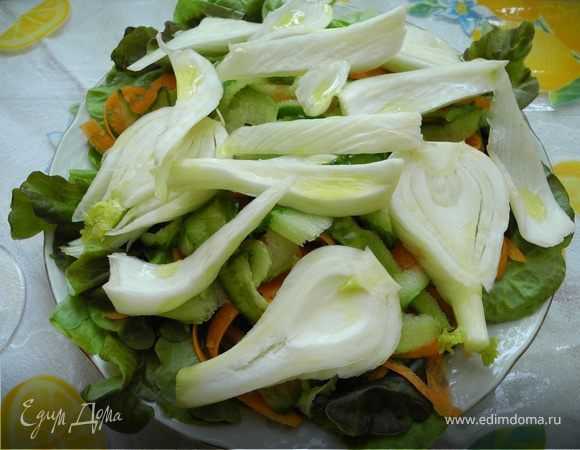 Фенхель — рецепты приготовления полезных салатов