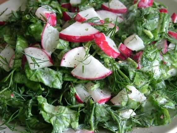 Салат из свежего щавеля - 12 простых рецептов