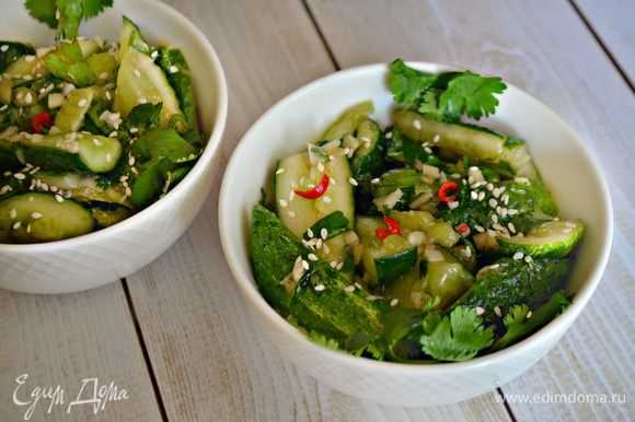 Салаты из свежей капусты с огурцом - 15 простых и вкусных рецептов