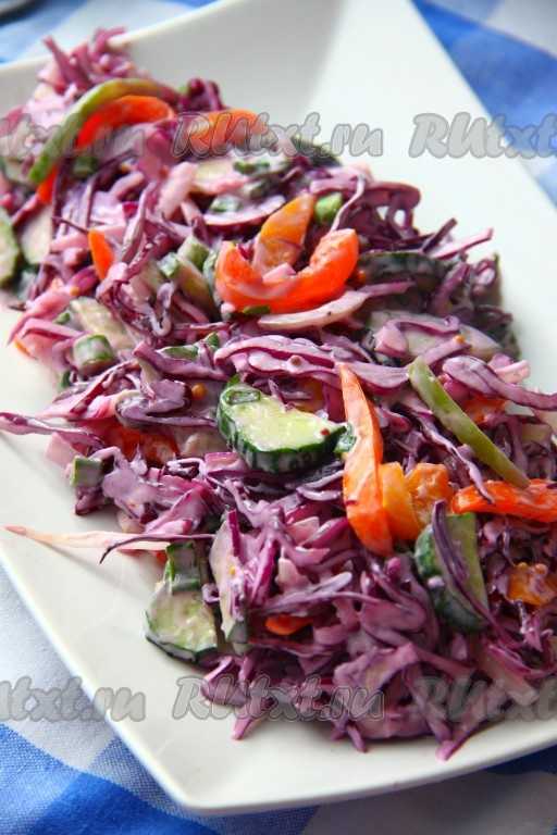 Салат из краснокочанной капусты свежей. простые и вкусные рецепты полезных салатов