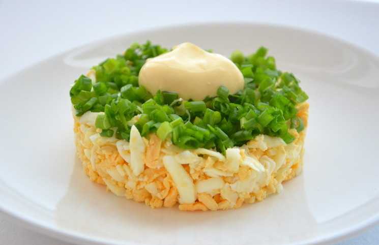 Салат зеленый лук с яйцом рецепт с фото пошагово и видео - 1000.menu