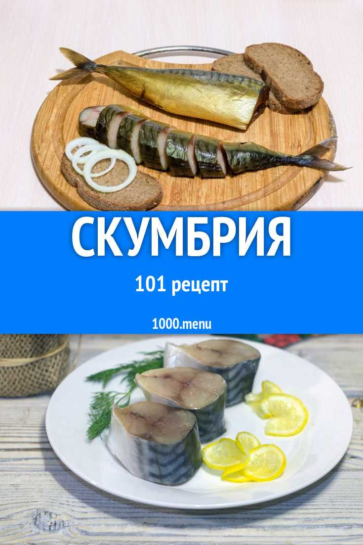 Салаты со скумбрией — рецепты из рыбы горячего, холодного копчения, соленой, консервированной
