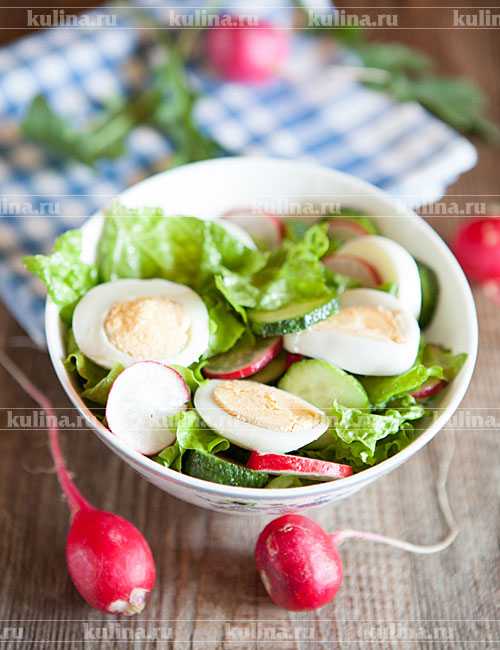 Салат с редисом и яйцом — 11 лучших рецептов, простых в приготовлении