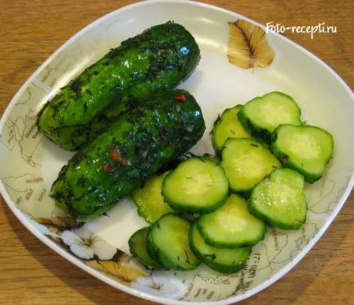 Малосольные огурцы с чесноком и зеленью быстрого приготовления – классические рецепты | чудо-повар