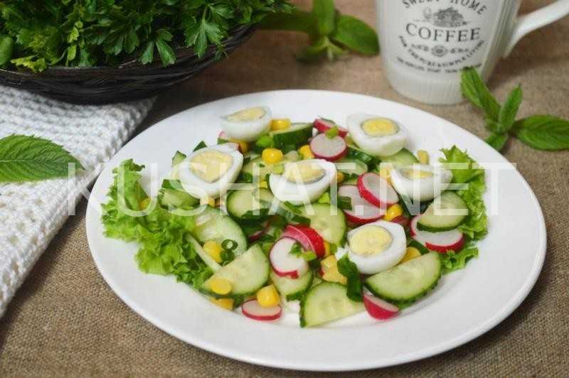 Салат с редиской: 11 простых и быстрых рецептов на каждый день